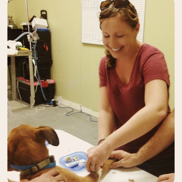 Meet your Posher, Tara - Picture 2 of 3